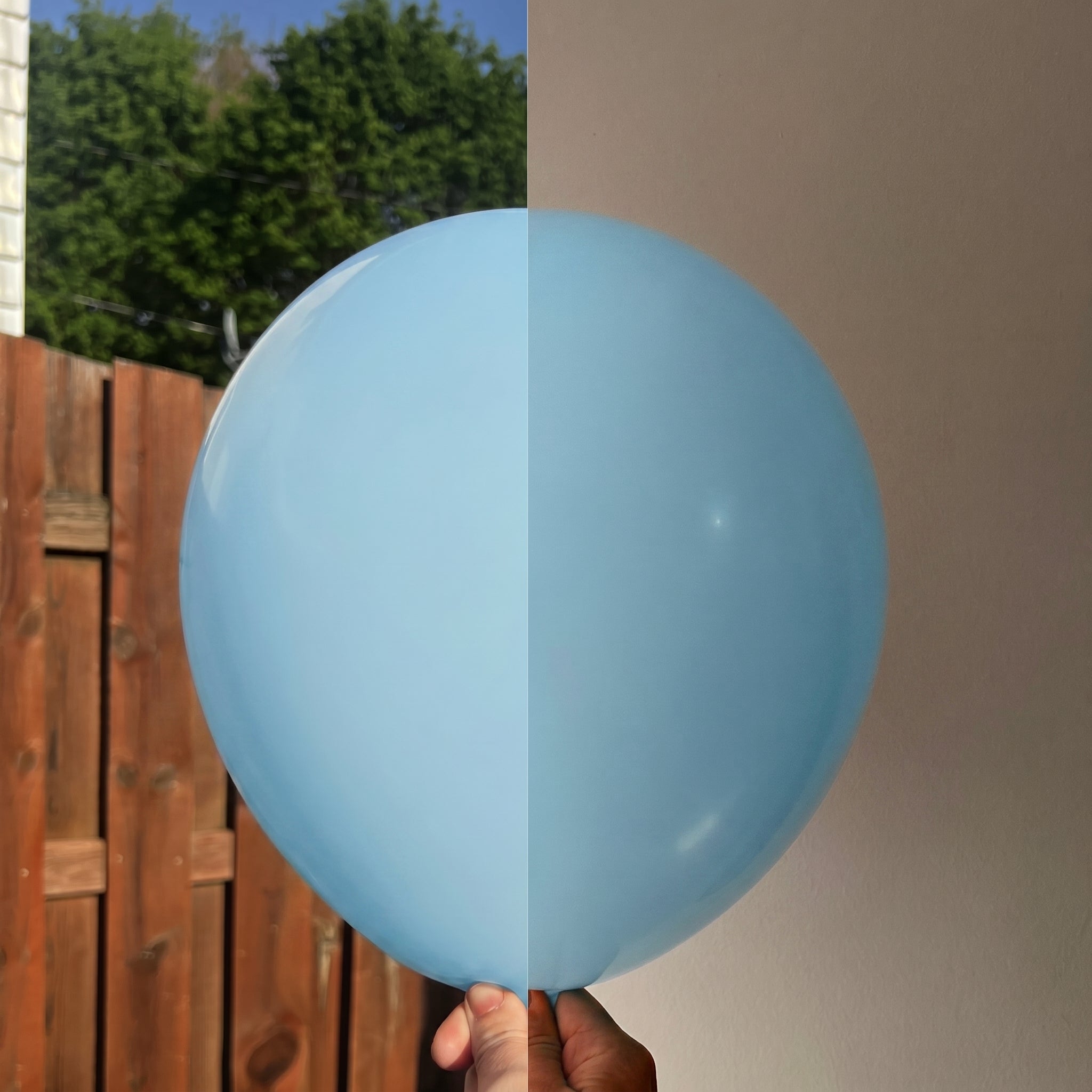 Blueberry Bundles